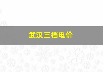 武汉三档电价