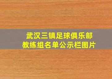 武汉三镇足球俱乐部教练组名单公示栏图片