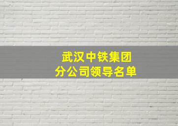 武汉中铁集团分公司领导名单