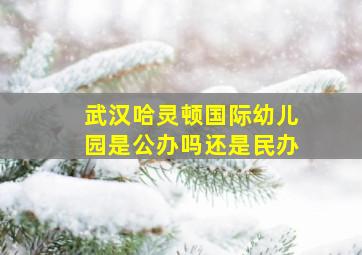 武汉哈灵顿国际幼儿园是公办吗还是民办