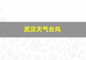 武汉天气台风