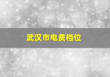 武汉市电费档位