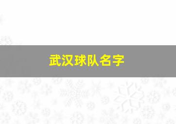 武汉球队名字