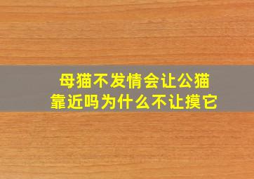 母猫不发情会让公猫靠近吗为什么不让摸它