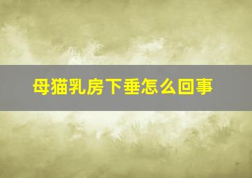 母猫乳房下垂怎么回事