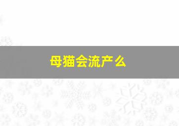 母猫会流产么