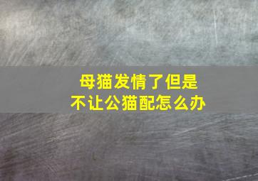 母猫发情了但是不让公猫配怎么办