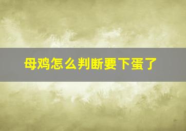 母鸡怎么判断要下蛋了