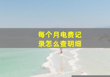 每个月电费记录怎么查明细