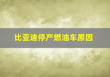 比亚迪停产燃油车原因