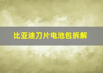 比亚迪刀片电池包拆解