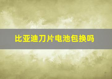 比亚迪刀片电池包换吗