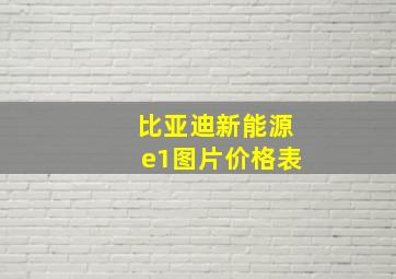 比亚迪新能源e1图片价格表