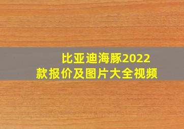 比亚迪海豚2022款报价及图片大全视频