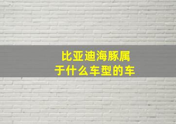 比亚迪海豚属于什么车型的车