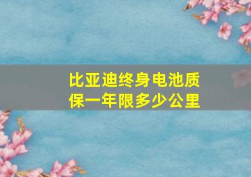 比亚迪终身电池质保一年限多少公里