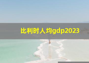 比利时人均gdp2023