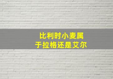 比利时小麦属于拉格还是艾尔