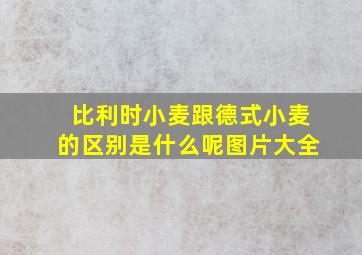 比利时小麦跟德式小麦的区别是什么呢图片大全