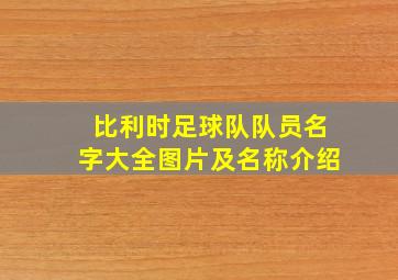 比利时足球队队员名字大全图片及名称介绍