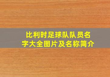 比利时足球队队员名字大全图片及名称简介