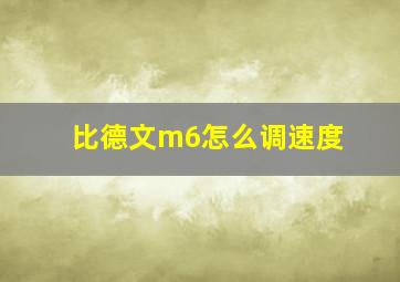 比德文m6怎么调速度