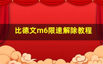 比德文m6限速解除教程