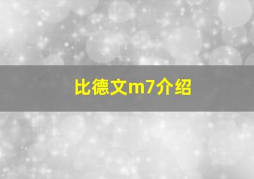 比德文m7介绍