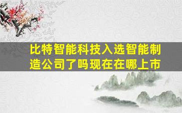 比特智能科技入选智能制造公司了吗现在在哪上市