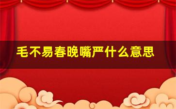 毛不易春晚嘴严什么意思