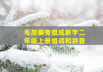 毛加偏旁组成新字二年级上册组词和拼音