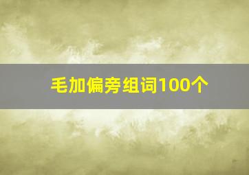 毛加偏旁组词100个