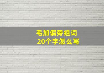 毛加偏旁组词20个字怎么写