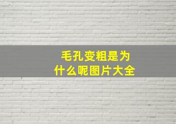 毛孔变粗是为什么呢图片大全