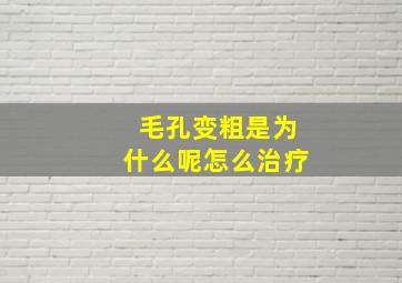 毛孔变粗是为什么呢怎么治疗