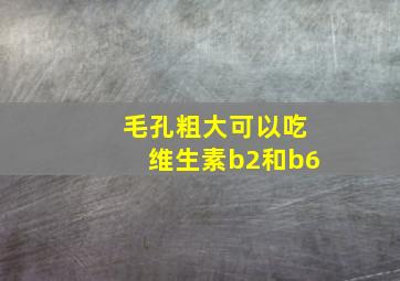 毛孔粗大可以吃维生素b2和b6