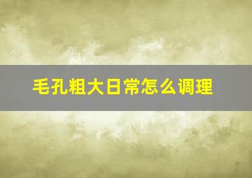 毛孔粗大日常怎么调理