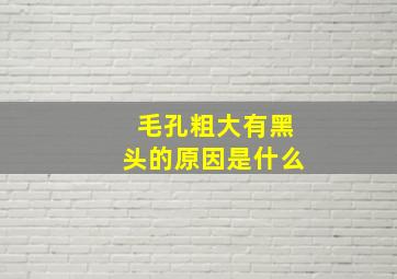 毛孔粗大有黑头的原因是什么