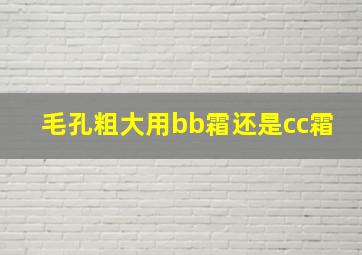 毛孔粗大用bb霜还是cc霜