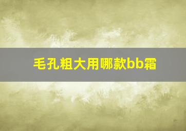 毛孔粗大用哪款bb霜