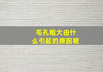 毛孔粗大由什么引起的原因呢