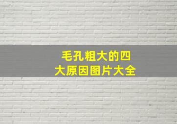 毛孔粗大的四大原因图片大全