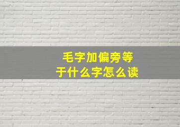 毛字加偏旁等于什么字怎么读