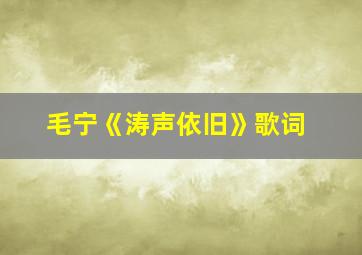 毛宁《涛声依旧》歌词