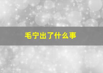 毛宁出了什么事