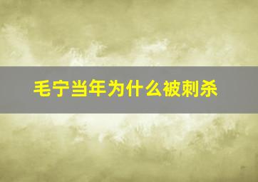 毛宁当年为什么被刺杀