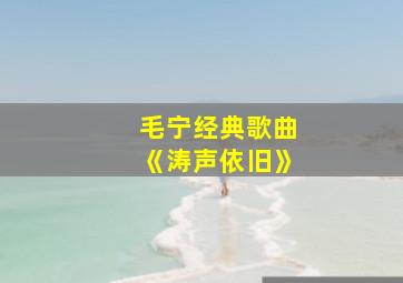 毛宁经典歌曲《涛声依旧》