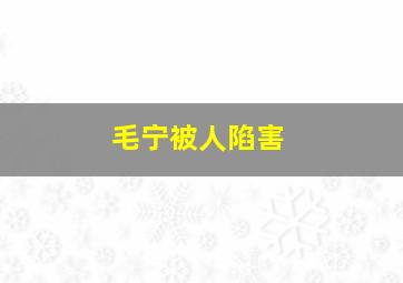 毛宁被人陷害