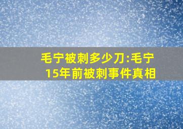 毛宁被刺多少刀:毛宁15年前被刺事件真相