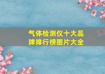 气体检测仪十大品牌排行榜图片大全